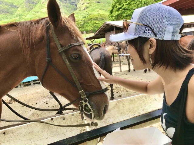 ハワイで楽しむ乗馬体験の魅力