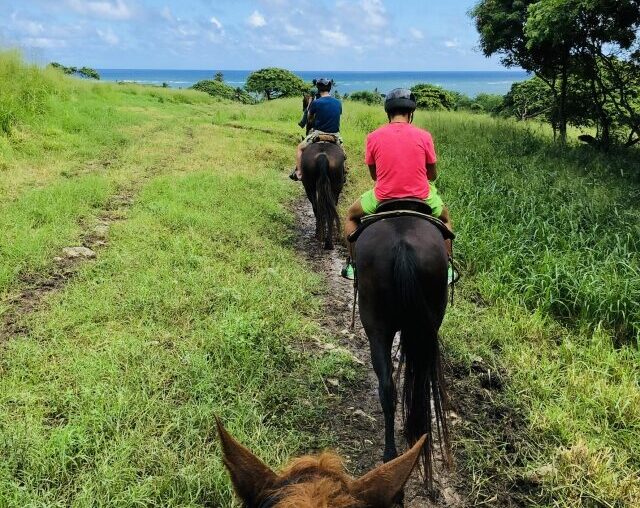 ハワイで楽しむ乗馬体験の魅力