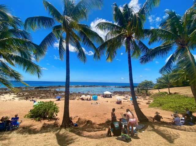 ハワイ島の12月 クリスマス・年末年始はハワイ島で過ごそう