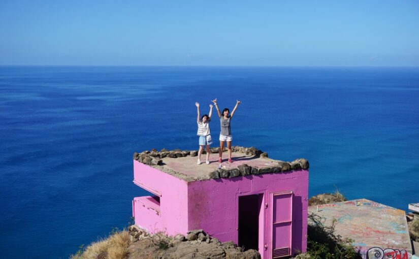 ピンクピルボックス