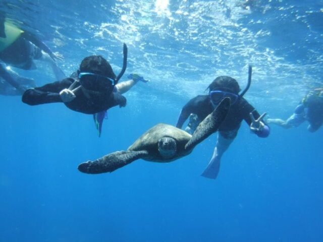 ハナウマ湾　シュノーケリング