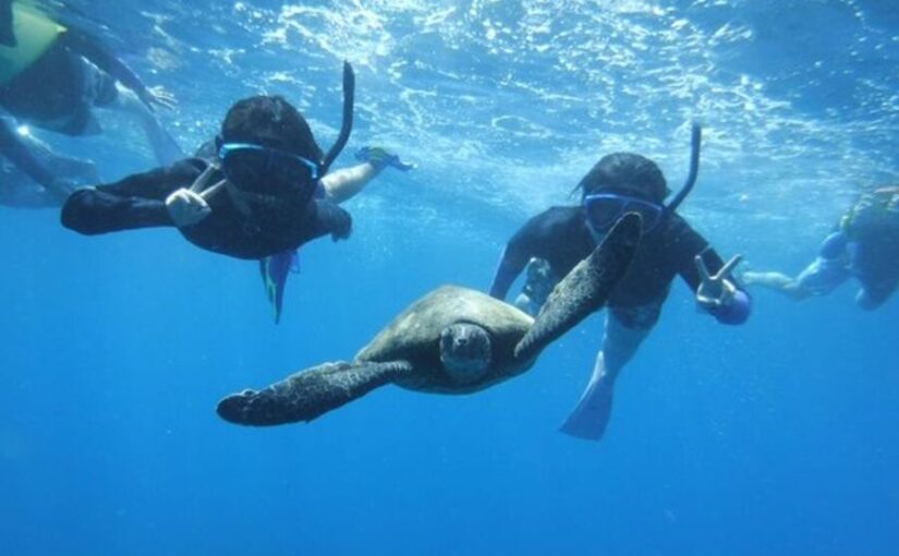 Hanauma Bay Snorkeling