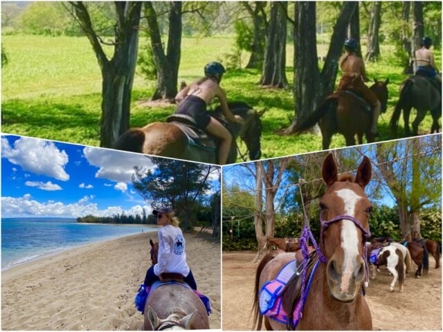 オアフ島で乗馬体験を楽しもう！乗馬体験ができるスポットやツアーをご紹介