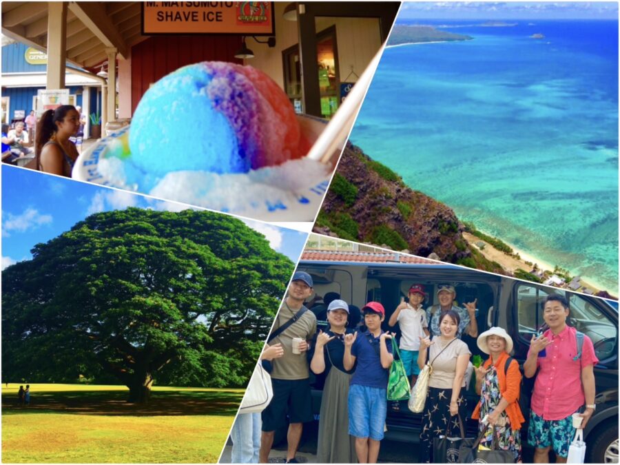 【ハワイ/日本人ガイド/貸切】リクエストOK☆自分達だけのオリジナルツアーで楽しもう！オアフ島観光チャーターツアー（No.5）