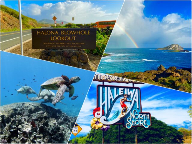 【ハワイ・ノースショア】絶景ポイントを巡る☆オアフ島東海岸&ノースショア観光ツアー《ウミガメウォッチング付き》