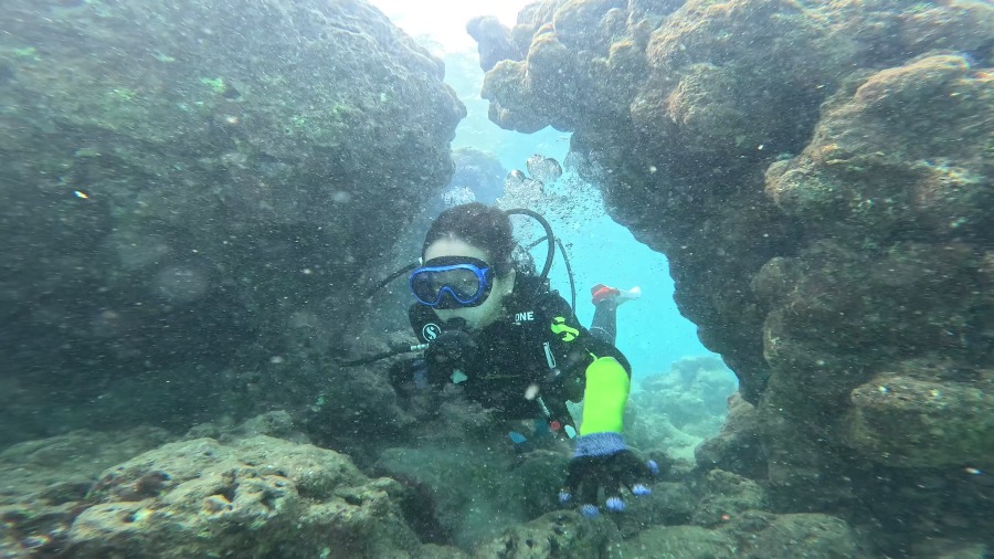【オアフ島/日本人ガイド/4時間】8歳から参加可能♪ハナウマ湾体験ダイビング〈ライセンス不要・送迎付き〉ビーチエントリーで初心者におすすめ（No.30）