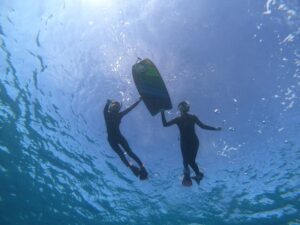 【オアフ島/日本人ガイド/3.5時間】ウミガメ遭遇率95%☆ワイキキ沖でウミガメと泳ぐ感動シュノーケリングツアー〈送迎付き・貸切可〉