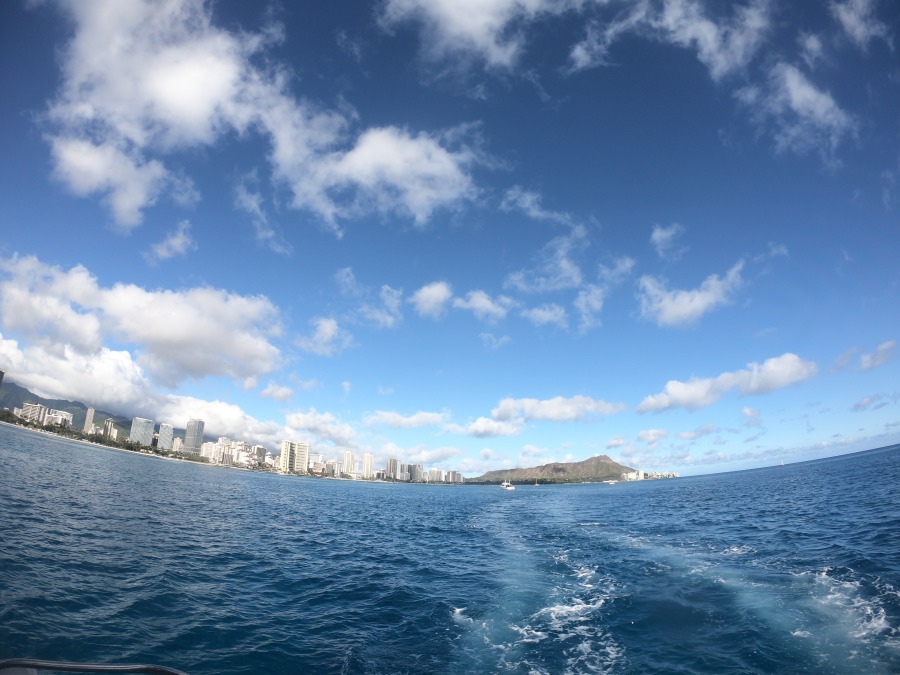 【オアフ島/日本人ガイド/3.5時間】ウミガメ遭遇率95%☆ワイキキ沖でウミガメと泳ぐ感動シュノーケリングツアー〈送迎付き・貸切可〉（No.34）