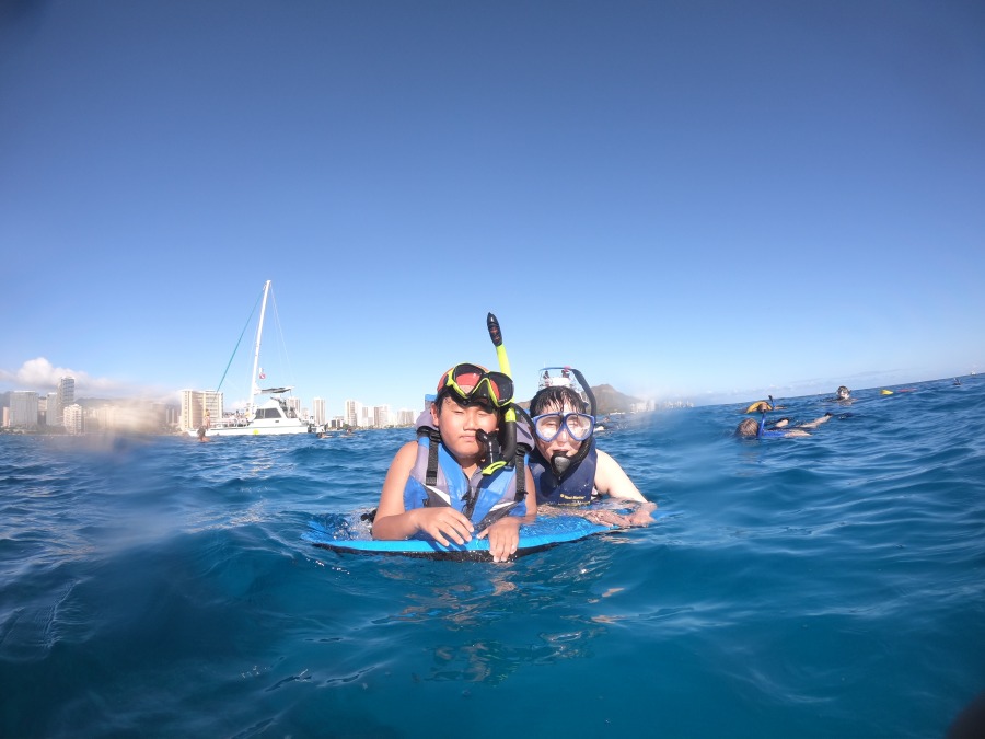 【オアフ島/日本人ガイド/3.5時間】ウミガメ遭遇率95%☆ワイキキ沖でウミガメと泳ぐ感動シュノーケリングツアー〈送迎付き・貸切可〉（No.34）