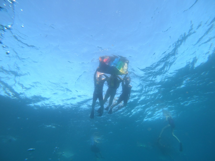 【オアフ島/日本人ガイド/3.5時間】ウミガメ遭遇率95%☆ワイキキ沖でウミガメと泳ぐ感動シュノーケリングツアー〈送迎付き・貸切可〉（No.34）