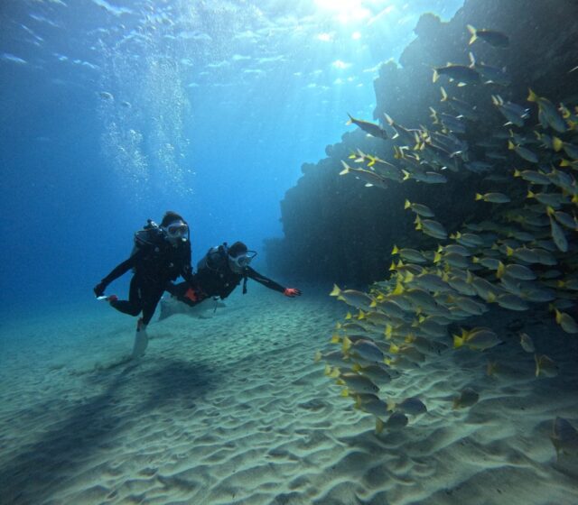体験ダイビング