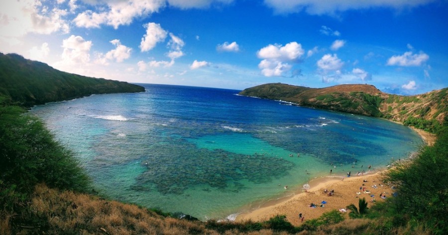 【オアフ島/日本人ガイド/4時間】完全貸切ハナウマ湾シュノーケリングツアー♪〈水中写真プレゼント＆0歳～参加OK〉小さなお子様も安心デビュー（No.29）