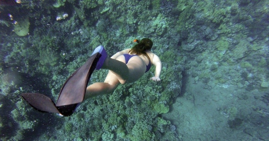 【オアフ島/日本人ガイド/4時間】完全貸切ハナウマ湾シュノーケリングツアー♪〈水中写真プレゼント＆0歳～参加OK〉小さなお子様も安心デビュー（No.29）
