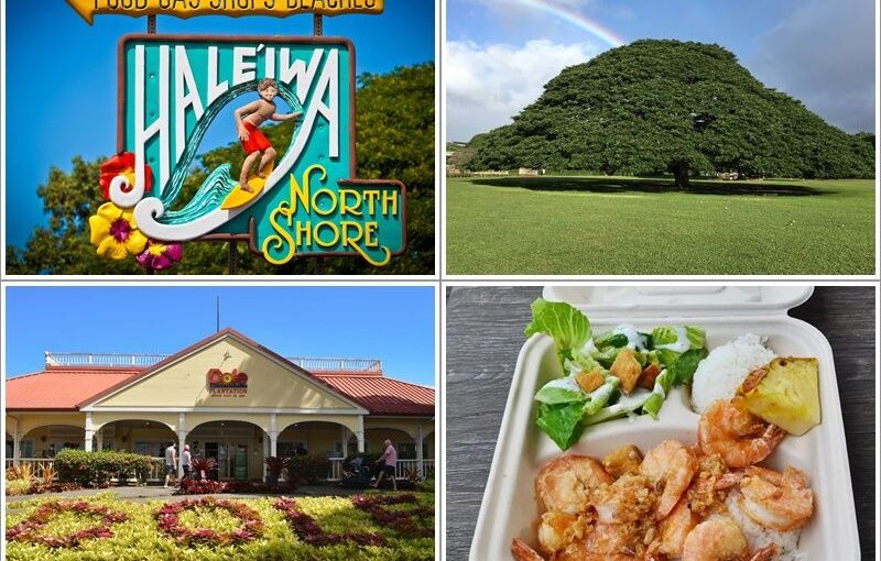 オワフ島名所周遊ツアー