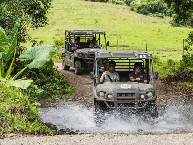 ワイルドバギー