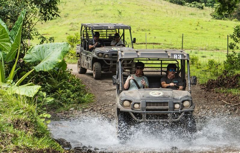 ワイルドバギー