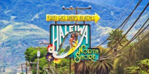 【超充実!タイアッププラン】 ハレイワ