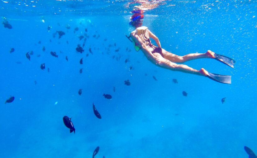 ハワイ、シュノーケリング、サンドバー