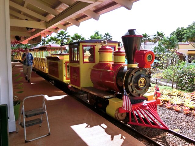 ハワイ ドールプランテーション パイナップル列車