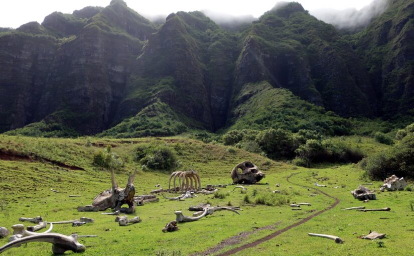 クアロア・ランチ、ハワイ、バスツアー