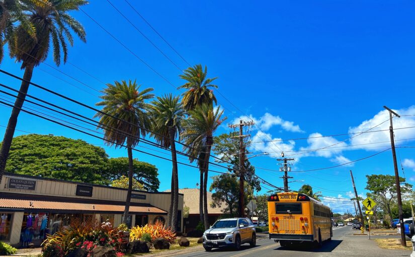 ハワイ 貸切ツアー ハワイツアー