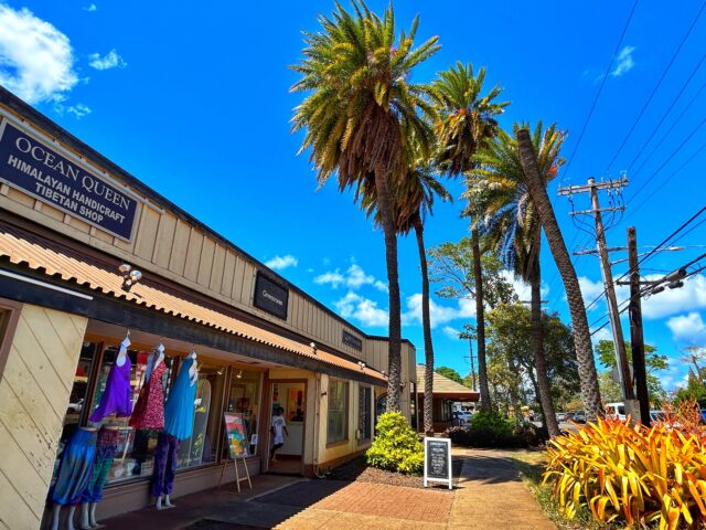 ノースショア観光、プライベートツアー、ハワイ、ハレイワ