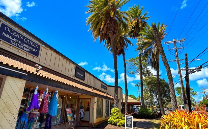 ノースショア観光、プライベートツアー、ハワイ、ハレイワ