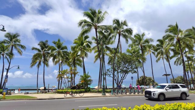 ハワイ　貸切ツアー　バンチャーター観光　オプショナルツアー