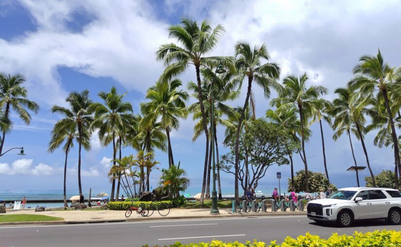 ハワイ、貸切ツアー、バンチャーター観光