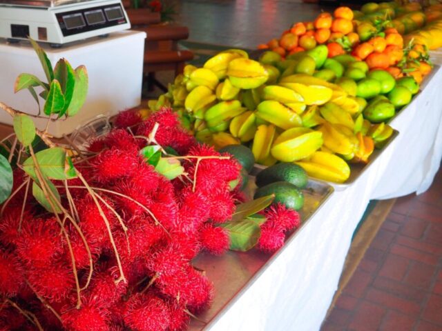 ハワイフルーツフルーツ試食