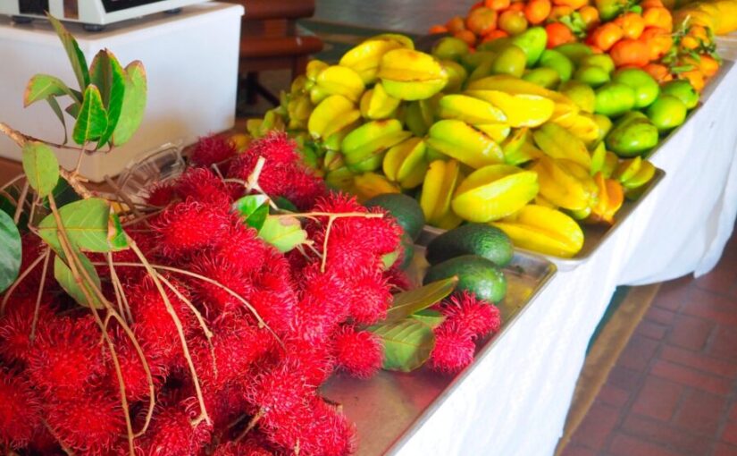 ハワイ フルーツ フルーツ試食