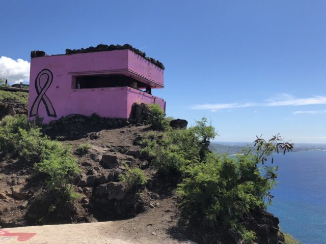 Pink Pillbox, Sightseeing
