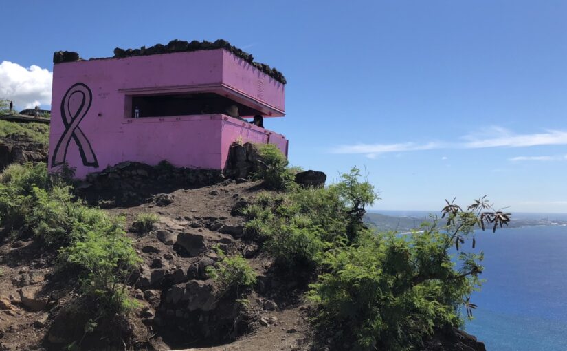 ピンクピルボックス,観光