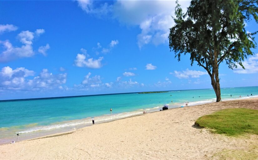 ハワイ カイルア ビーチ