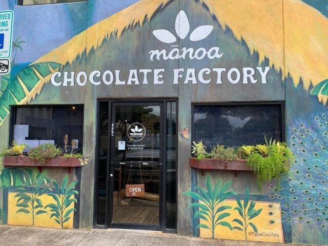 カフェ　グルメ