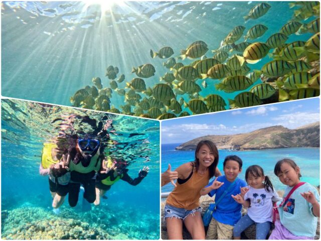 ハワイ　オアフ島　アクティビティ　シュノーケリング