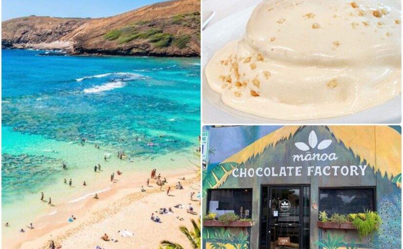 【オアフ島/1日/貸切チャーター】ハナウマ湾シュノーケリング＆カイルア観光でグルメやショッピングを楽しもう♪《送迎付き・水中写真プレゼント》（No.39）