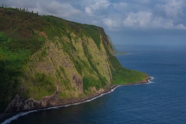 プナルウ黒砂海岸ってどんなところ？ハワイ島の神秘的な黒いビーチの見どころやおすすめのツアーをご紹介