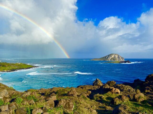 【ハワイ・ノースショア】絶景ポイントを巡る☆オアフ島東海岸&ノースショア観光ツアー《ウミガメウォッチング付き》