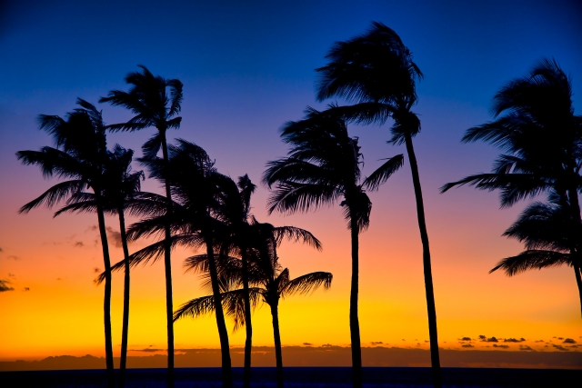 ハワイ島の空を楽しもう！空で楽しめるアクティビティやおすすめのサンライズ・サンセット・星空スポットをご紹介