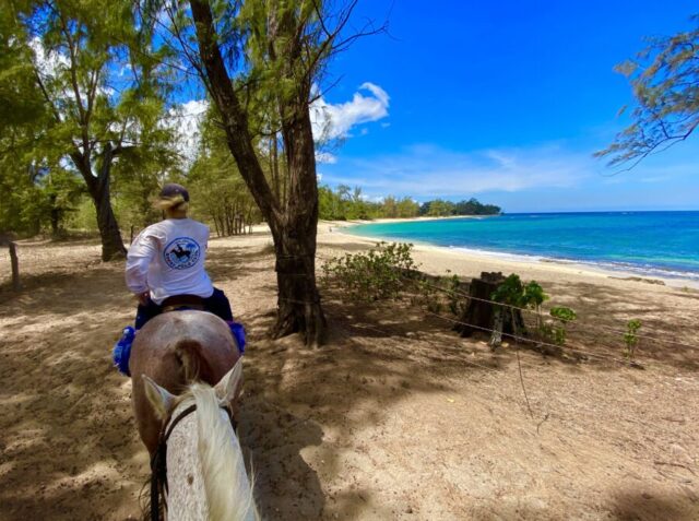 ハワイ島で乗馬体験を楽しもう！乗馬体験ができるスポットやツアーをご紹介