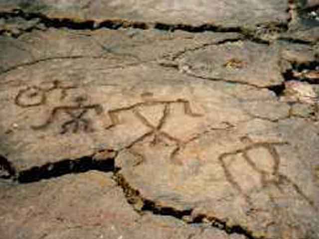 プナルウ黒砂海岸ってどんなところ？ハワイ島の神秘的な黒いビーチの見どころやおすすめのツアーをご紹介