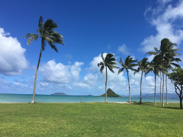ハワイ島でバギーを楽しもう　バギーの楽しみ方やおすすめのツアーをご紹介