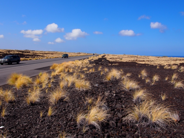 ハワイ島の1月 穏やかで快適な気候が魅力的