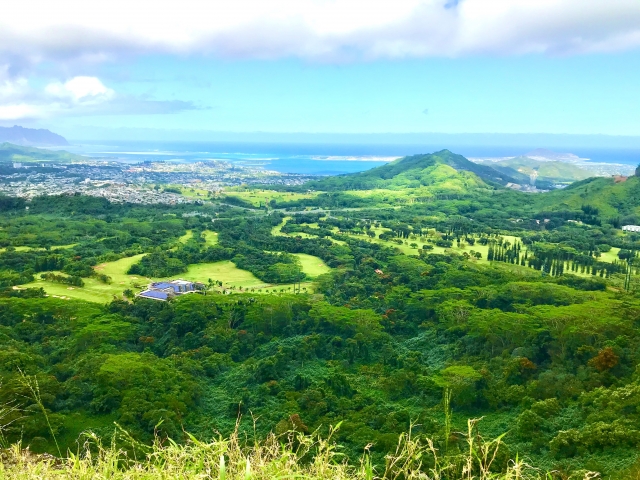 ハワイ島でバギーを楽しもう　バギーの楽しみ方やおすすめのツアーをご紹介