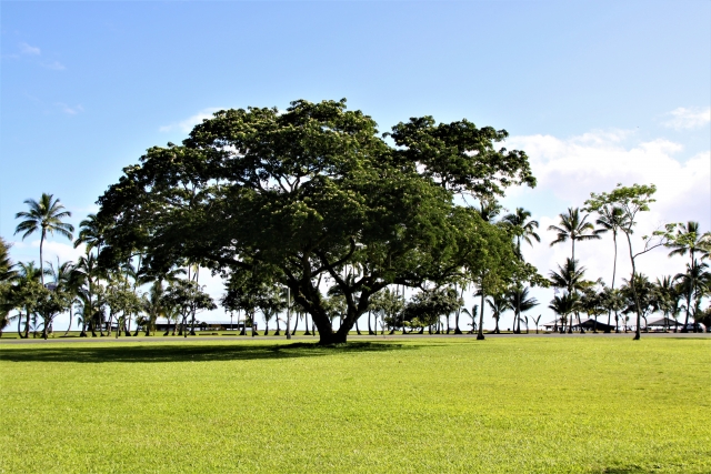 ハワイ島旅行を楽しもう！ハワイ島の魅力・観光スポット・おすすめのアクティビティについて