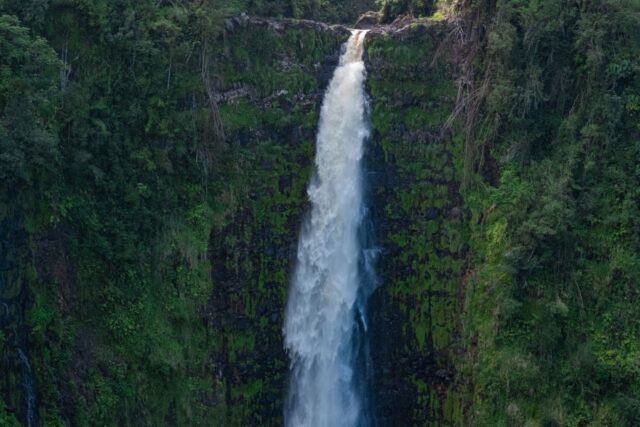 ハワイ島で人気のアカカの滝とは？アカカ滝州立公園の見どころやおすすめのツアーをご紹介