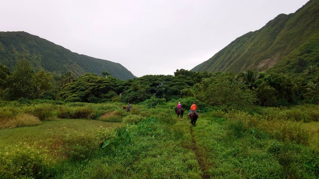 手付かずの大自然が残るハワイ島で登山を楽しもう！おすすめのトレッキングコース10選