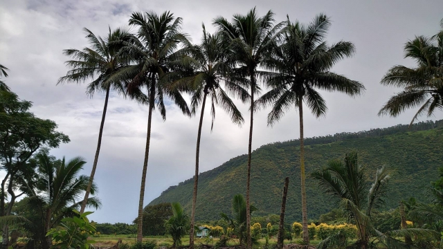 ハワイ島旅行をおすすめする理由！おすすめの観光スポット・グルメ・アクティビティ・ツアーをご紹介