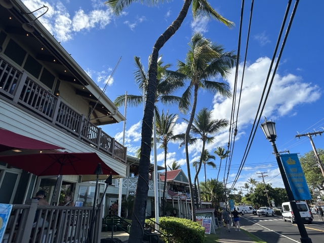 オールドハワイの街並みが残るハヴィってどんなところ？見どころやハワイ島のおすすめのツアーをご紹介